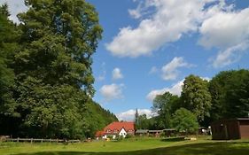 Zur Sommerfrische Lothramühle
